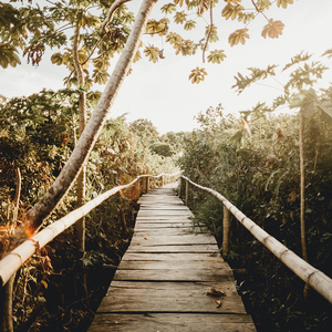 男生蹭一蹭女生突然一跳一跳高清视频
